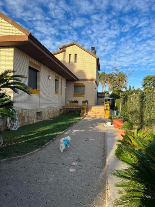 Casa Parra Villa Deltebre Dış mekan fotoğraf
