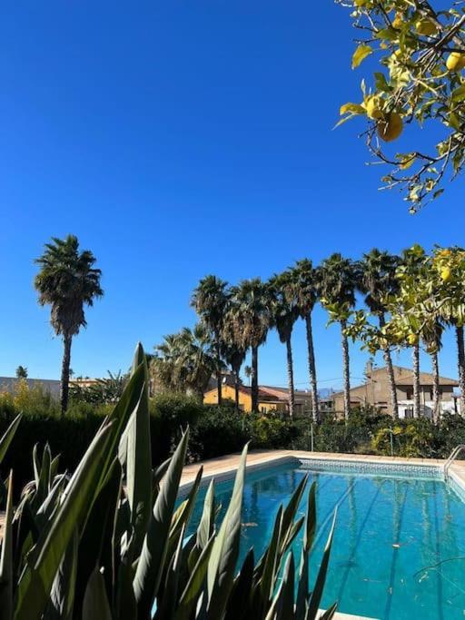 Casa Parra Villa Deltebre Dış mekan fotoğraf