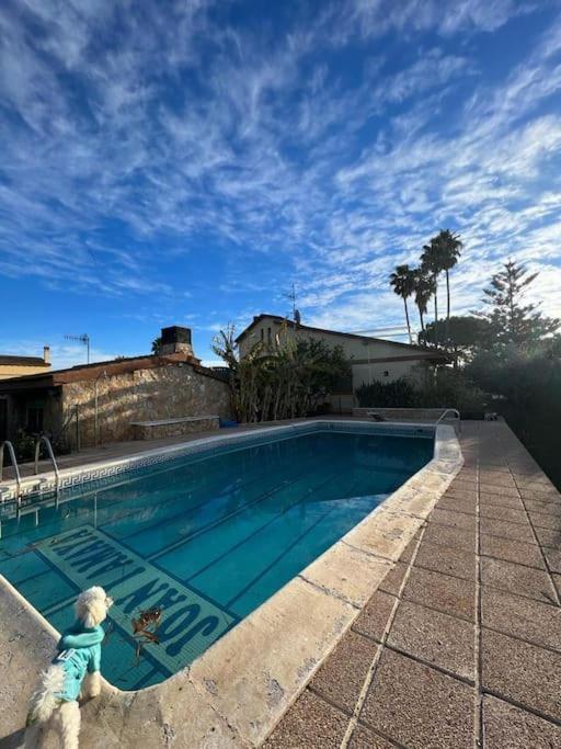 Casa Parra Villa Deltebre Dış mekan fotoğraf